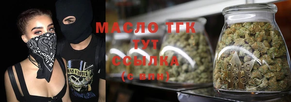 амф Краснослободск