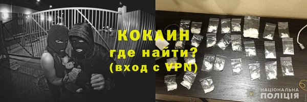 амф Краснослободск
