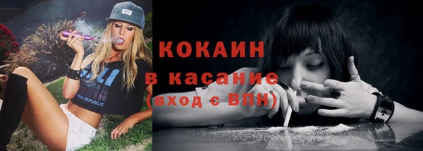 амф Краснослободск