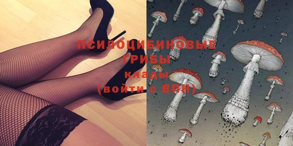 амф Краснослободск
