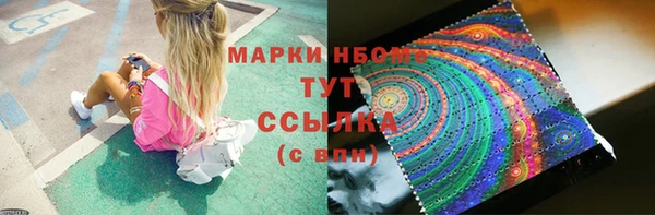 амф Краснослободск